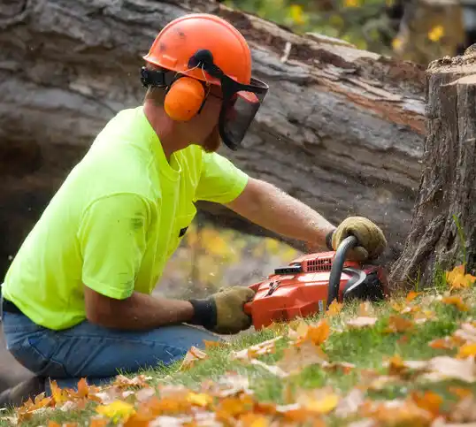 tree services Parkway Village